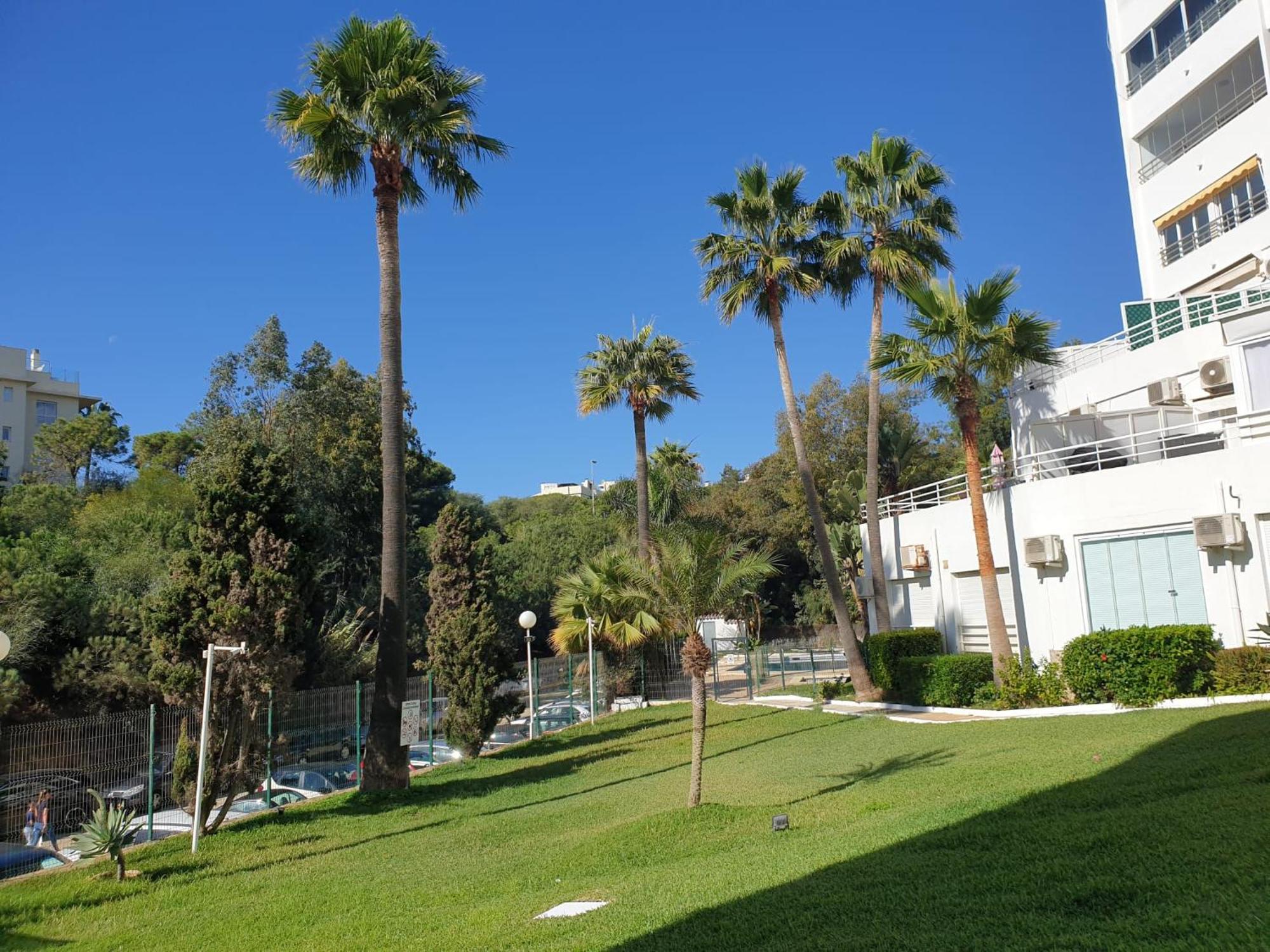 Estudio Con Increibles Vistas. Marbella Exteriör bild